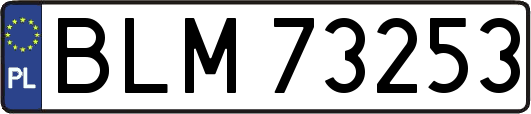 BLM73253