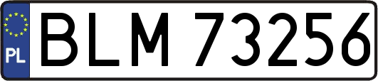 BLM73256