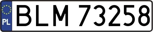 BLM73258