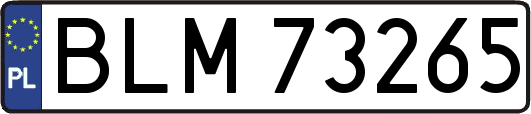 BLM73265