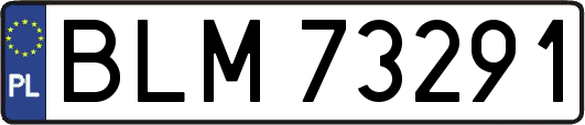 BLM73291
