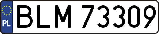 BLM73309