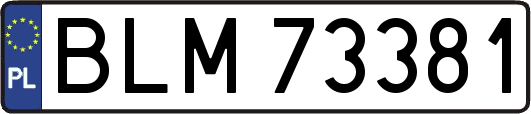 BLM73381