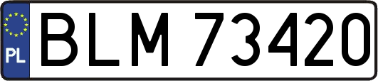 BLM73420
