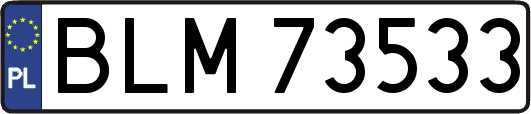 BLM73533