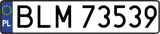 BLM73539