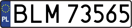 BLM73565