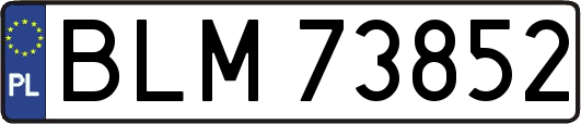 BLM73852
