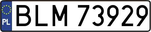 BLM73929