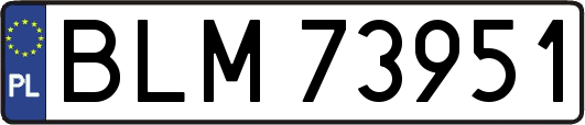 BLM73951