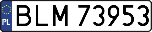 BLM73953