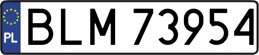 BLM73954