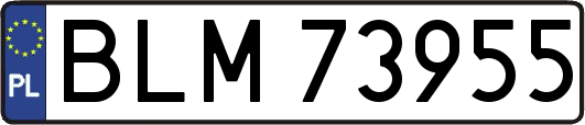 BLM73955