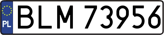 BLM73956