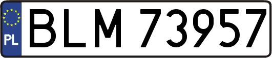 BLM73957
