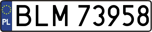 BLM73958