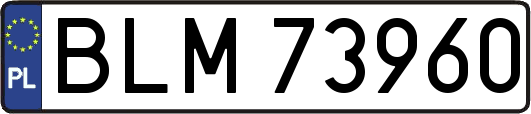 BLM73960