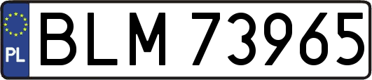 BLM73965