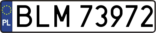 BLM73972