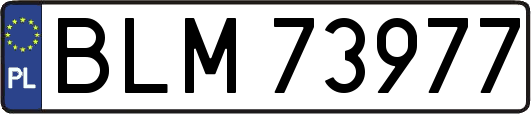 BLM73977