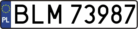 BLM73987