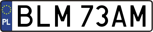 BLM73AM