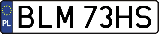 BLM73HS