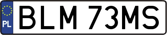 BLM73MS