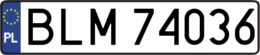 BLM74036