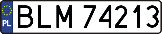 BLM74213
