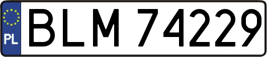 BLM74229