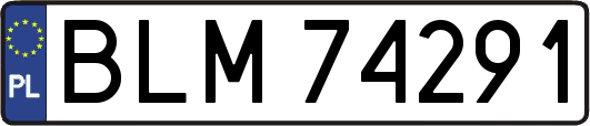 BLM74291
