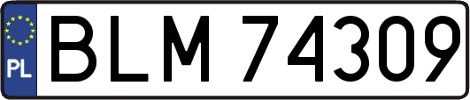 BLM74309