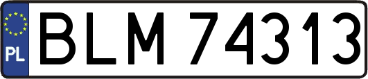 BLM74313