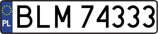 BLM74333