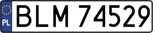 BLM74529