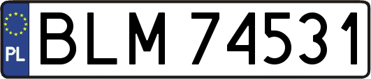 BLM74531