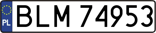 BLM74953