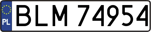 BLM74954
