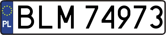BLM74973