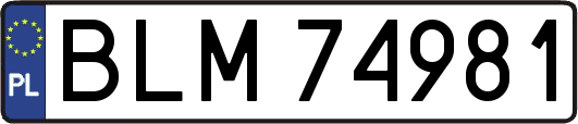 BLM74981