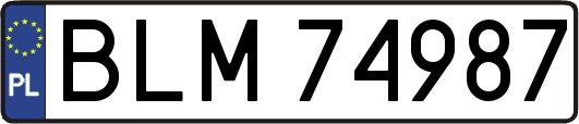 BLM74987