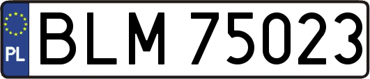 BLM75023