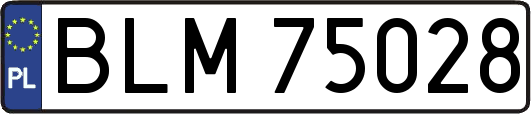 BLM75028