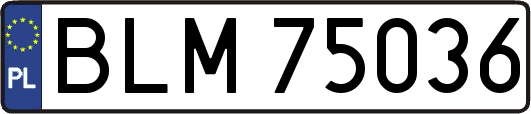 BLM75036