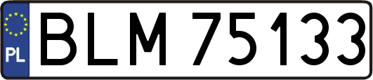 BLM75133