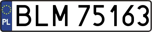 BLM75163