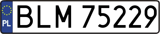 BLM75229