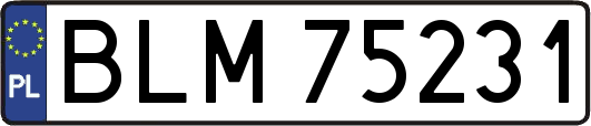 BLM75231