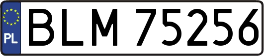 BLM75256